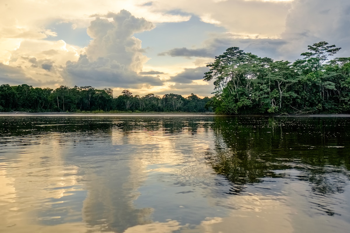 Adventures in the Amazon Rainforest